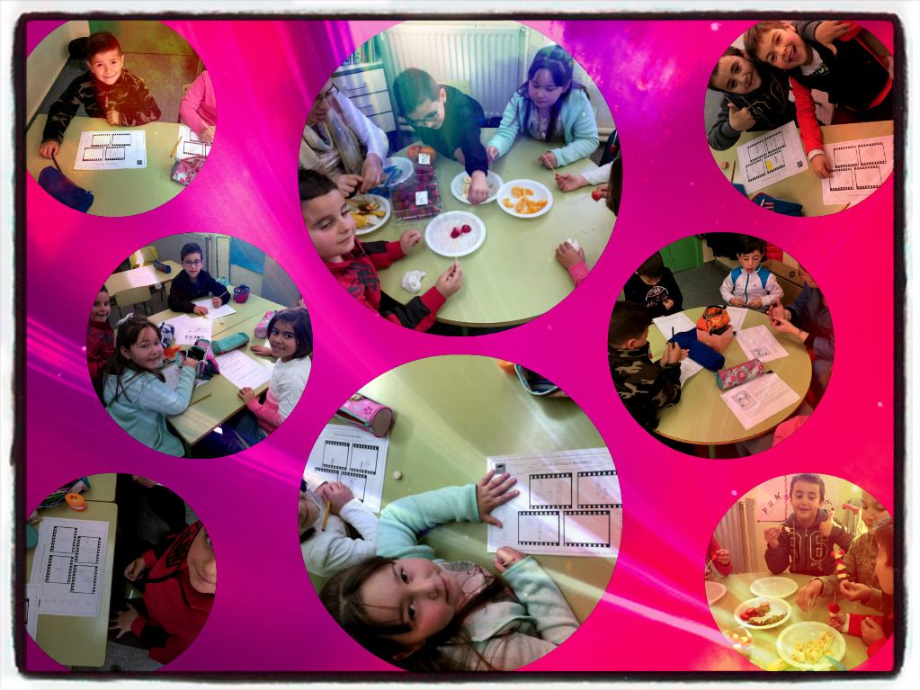 PIZAP-T2-1B